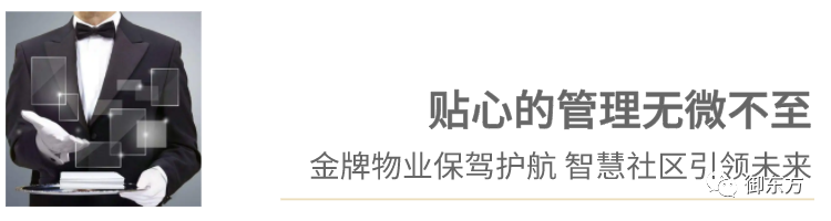 御东方(图20)